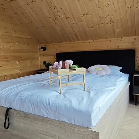 Mazurska Puszcza Pod Brzoza * Dzwierzuty